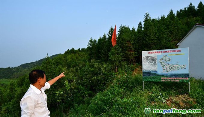 河南新縣推進碳匯交易 探索生態(tài)扶貧新路徑