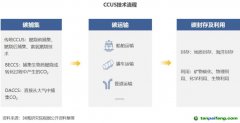 2022 年中國(guó)碳捕集、利用與封存（CCUS）洞察報(bào)告