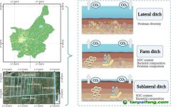 研究揭示影響不同級別農(nóng)田溝渠碳排放的關(guān)鍵機制