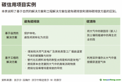 企業(yè)領導者為什么必須了解碳信用額？