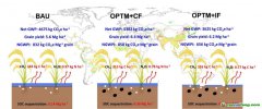 西南大學最新研究給出糧食增產(chǎn)與凈碳減排“雙贏”路徑